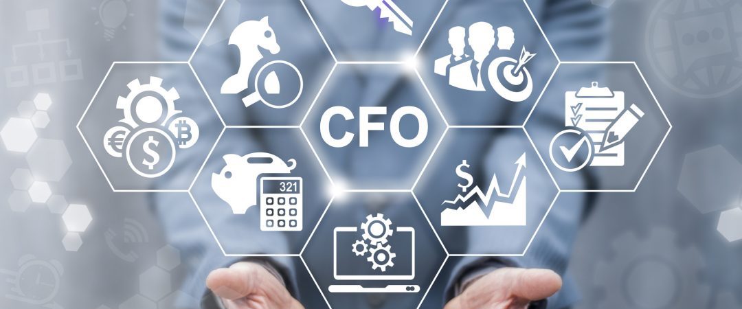 Virtual CFO Allows You To See The BIG Picture